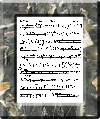F Flute