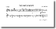 F Flute