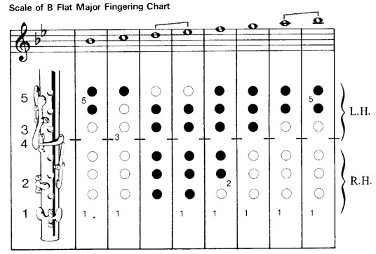 Flute Technique