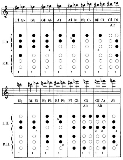 Flute Technique