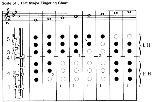 Flute Technique